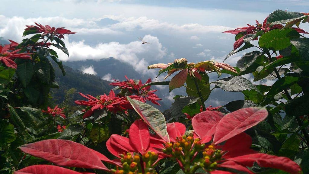 Hill station cloudy view