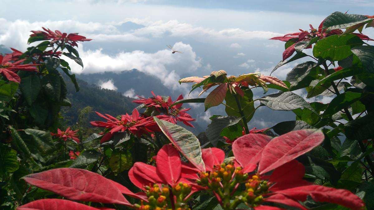 Hill station cloudy view