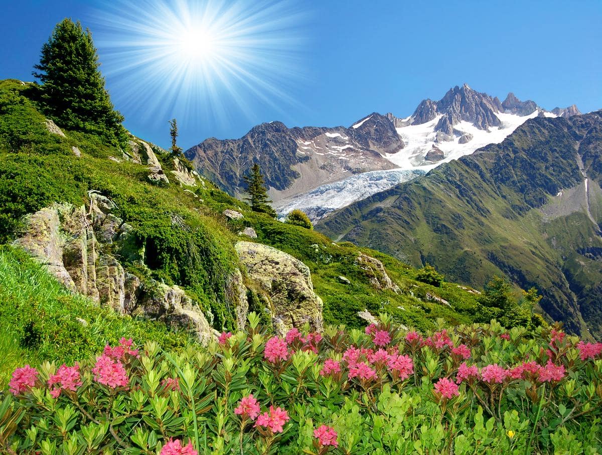 valley of flowers