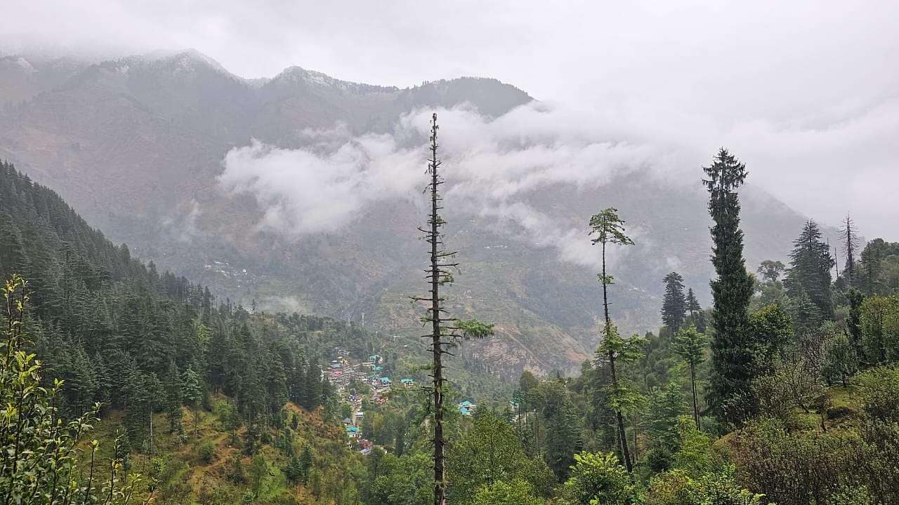 WhatsApp Image 2023 10 21 at 17 44 16 ab60ada7