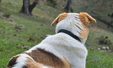 WhatsApp Image 2023 05 17 at 23.47.02