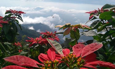 Hill station cloudy view