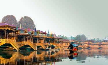 srinagar (9)