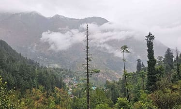 WhatsApp Image 2023 10 21 at 17 44 16 ab60ada7