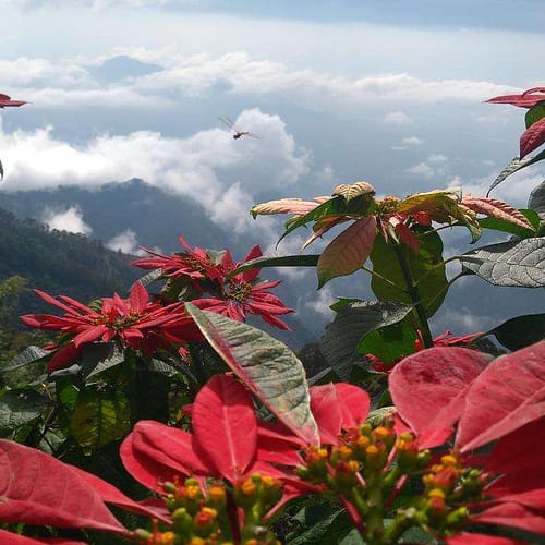 Hill station cloudy view