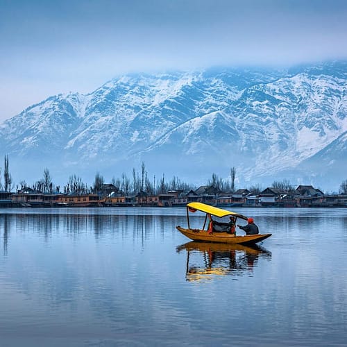 srinagar (10)