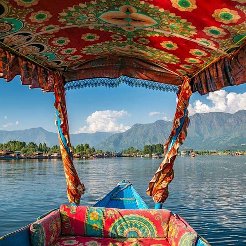 srinagar (6)