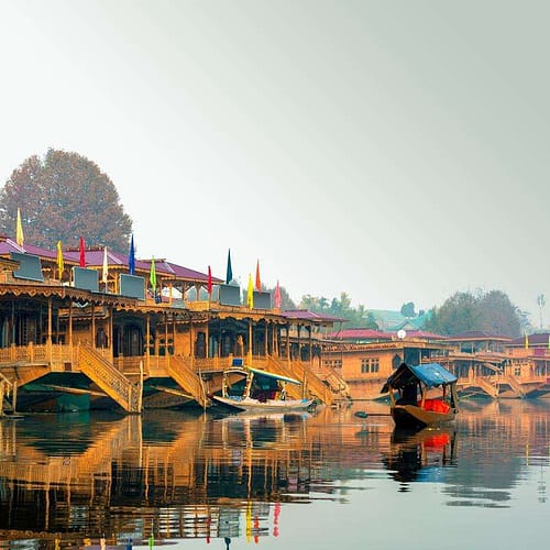 srinagar (9)