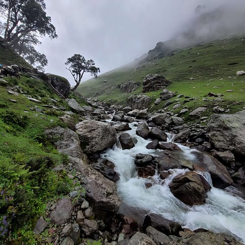 kashmir