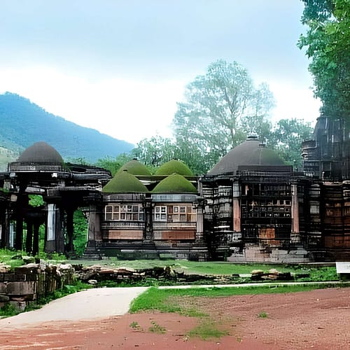 Polo Forest
