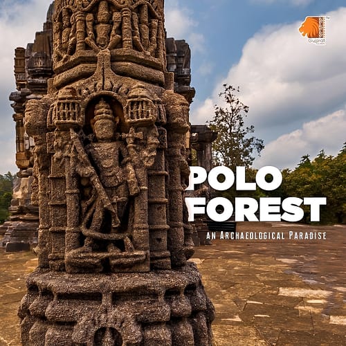 Polo Forest