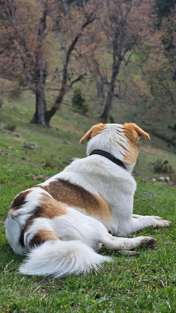 WhatsApp Image 2023 05 17 at 23.47.02