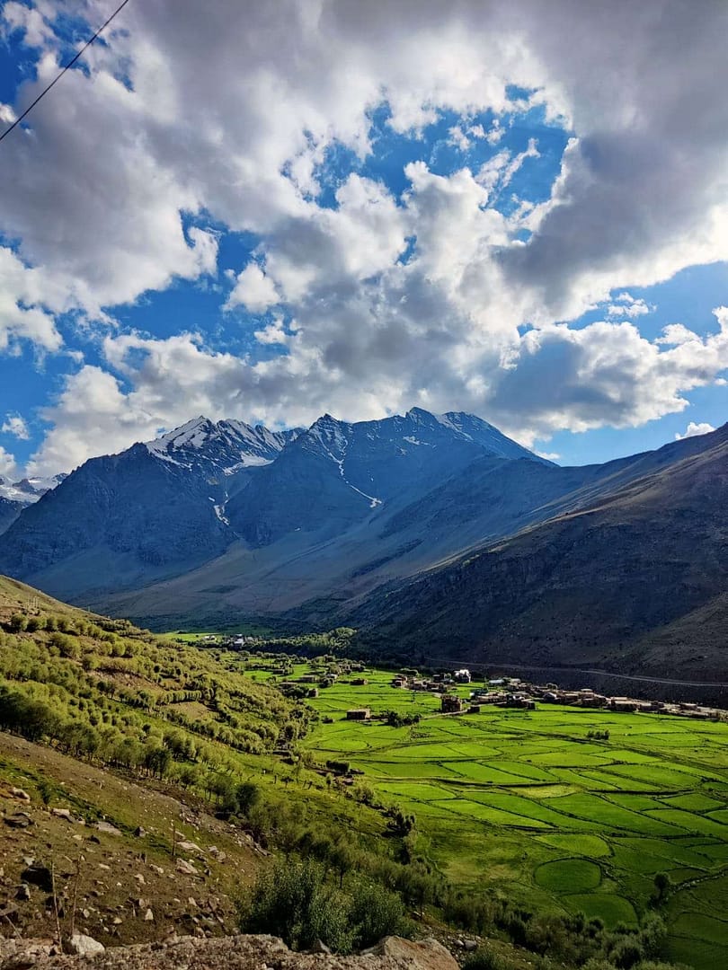 WhatsApp Image 2023 05 25 at 14.16.06