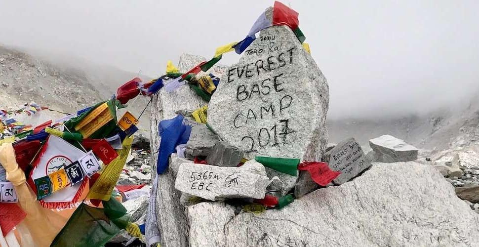 mari partyka PLzgu9O7xag unsplash (1) (1)