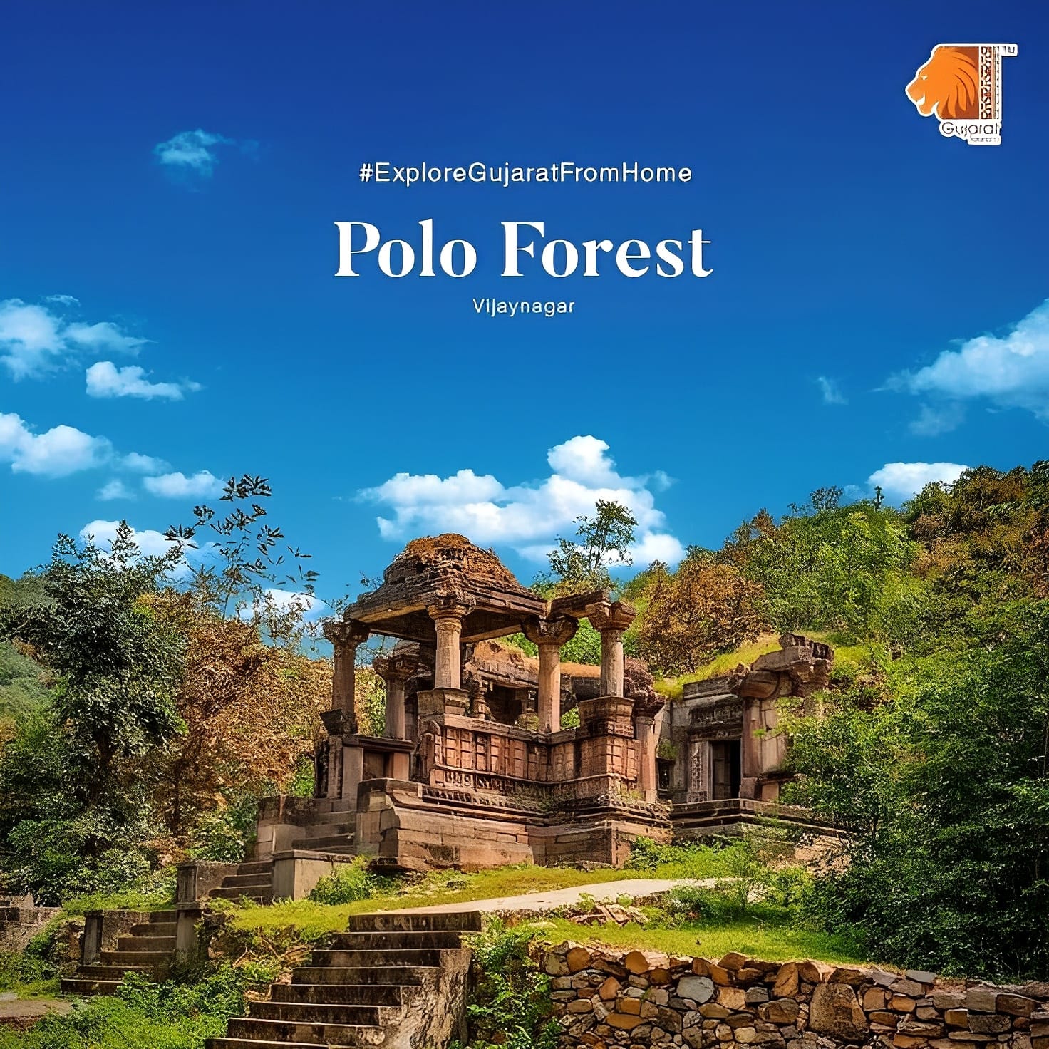 Polo Forest